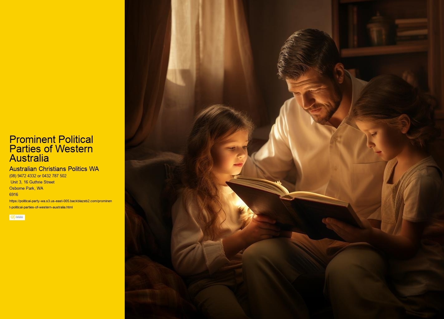 Political Perspectives on WA's Cultural Policies